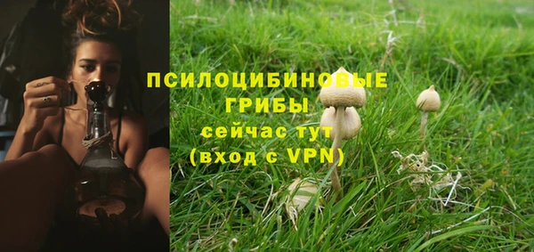 первитин Елабуга