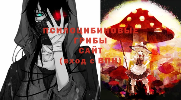 МДМА Елизово