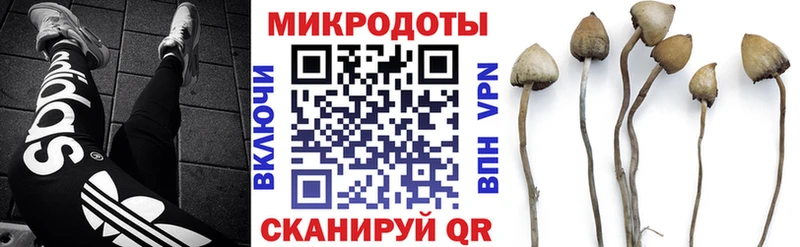 Купить  Мегион  Галлюциногенные грибы Magic Shrooms 